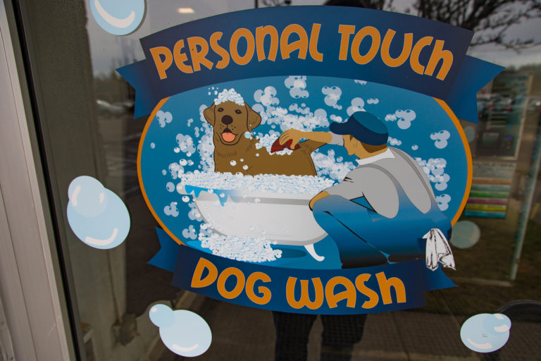 Self Service Pet Wash in Corvallis Oregon Clean your Dog